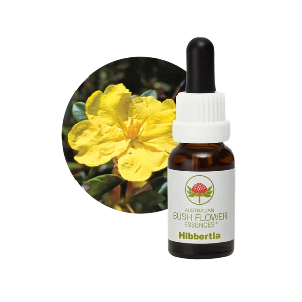 HIBBERTIA